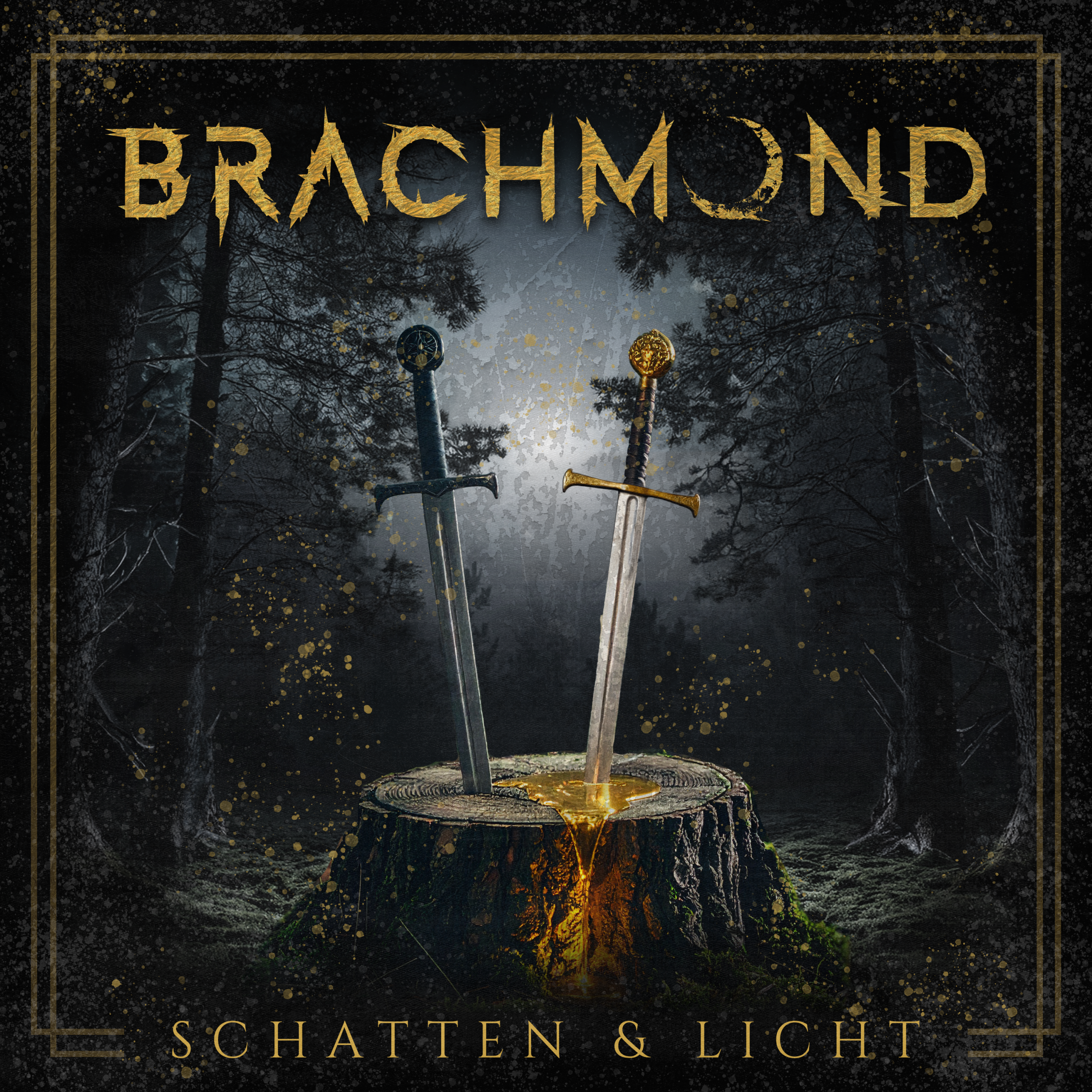 Schatten und Licht Cover