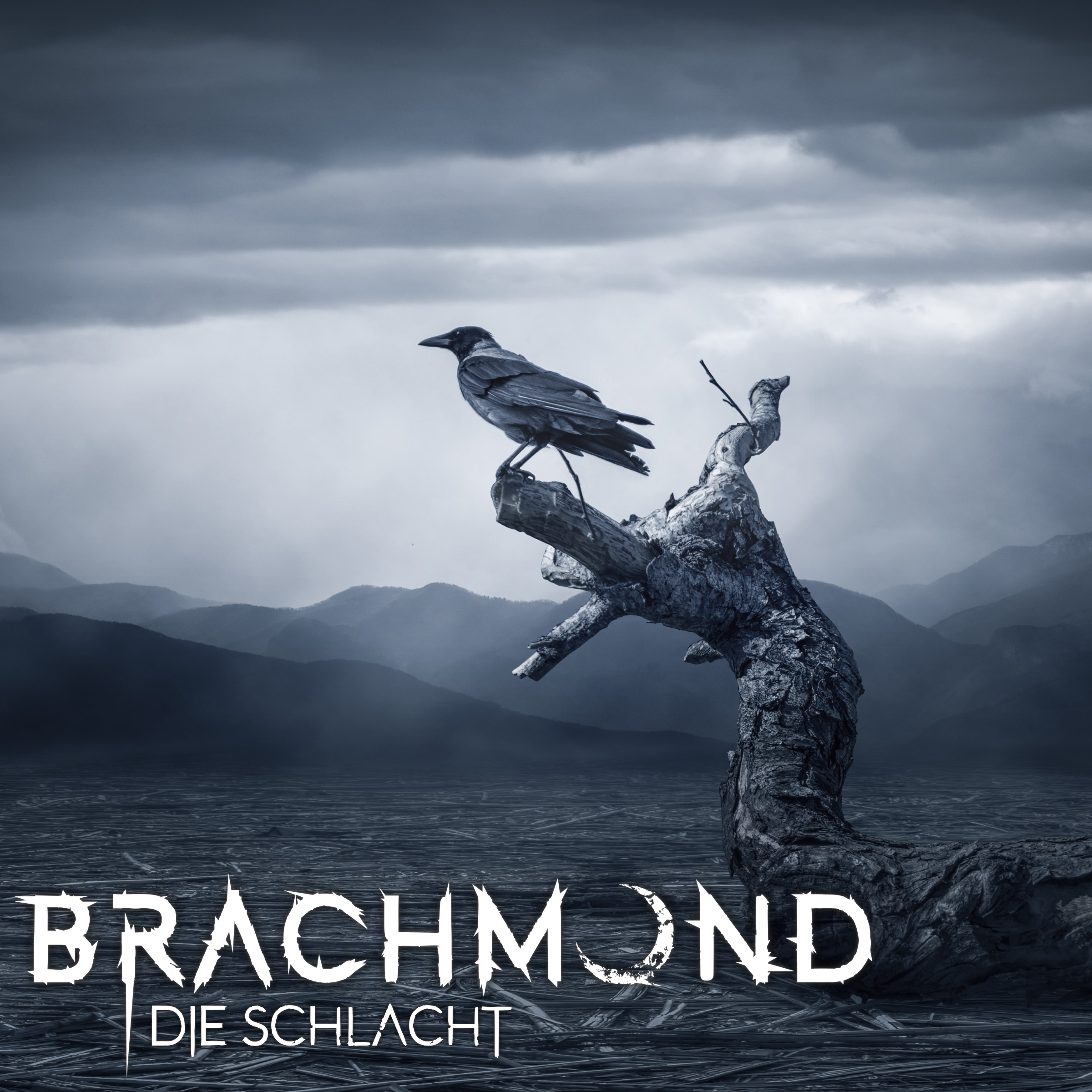 Die Schlacht Cover